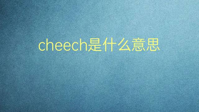 cheech是什么意思 cheech的翻译、读音、例句、中文解释