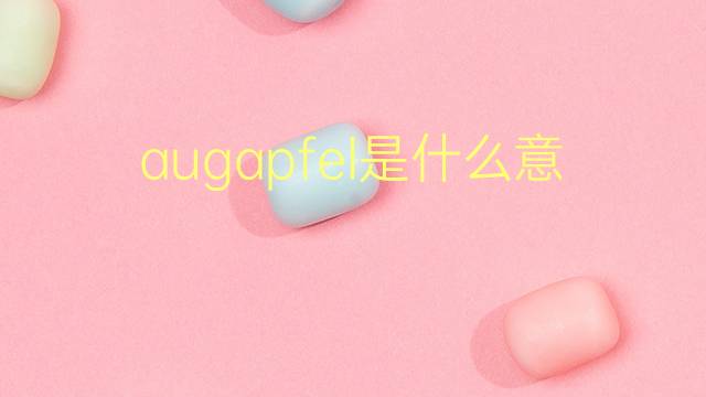 augapfel是什么意思 augapfel的翻译、读音、例句、中文解释