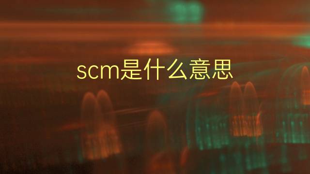 scm是什么意思 scm的翻译、读音、例句、中文解释