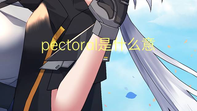 pectoral是什么意思 pectoral的翻译、读音、例句、中文解释