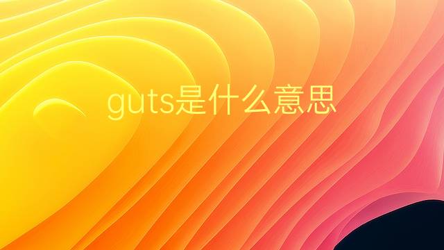 guts是什么意思 guts的翻译、读音、例句、中文解释