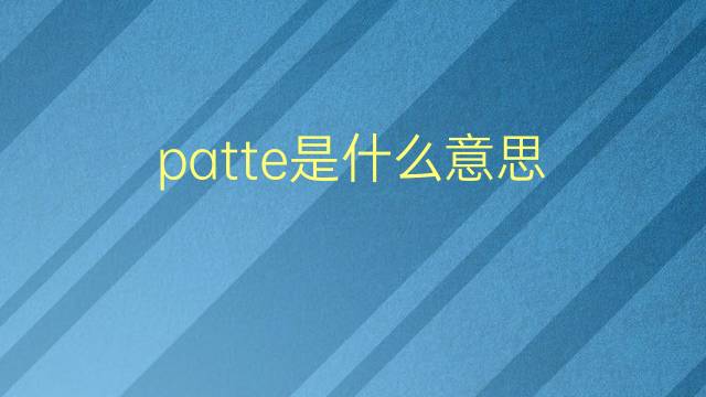 patte是什么意思 patte的翻译、读音、例句、中文解释