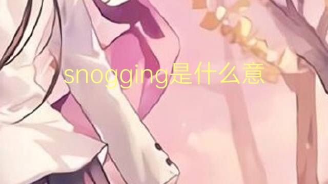 snogging是什么意思 snogging的翻译、读音、例句、中文解释