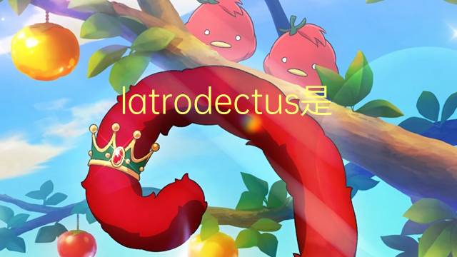 latrodectus是什么意思 latrodectus的翻译、读音、例句、中文解释