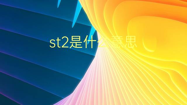 st2是什么意思 st2的翻译、读音、例句、中文解释