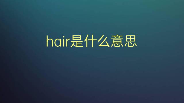 hair是什么意思 hair的翻译、读音、例句、中文解释