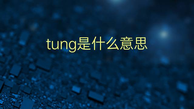 tung是什么意思 tung的翻译、读音、例句、中文解释