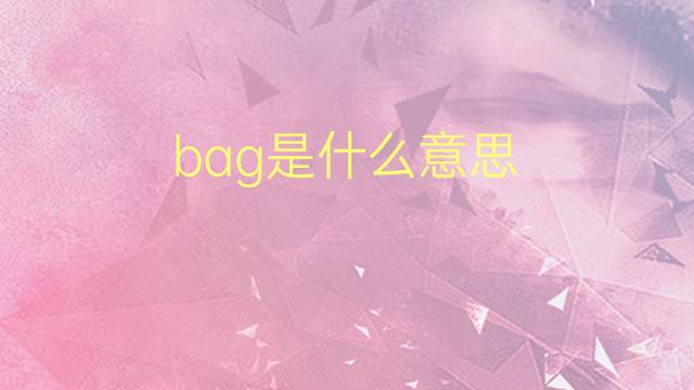 bag是什么意思 bag的翻译、读音、例句、中文解释