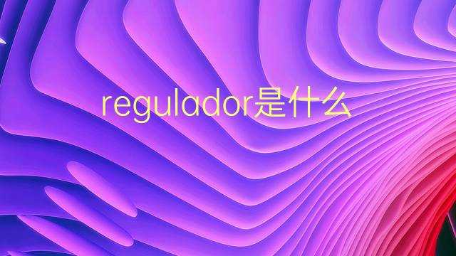 regulador是什么意思 regulador的翻译、读音、例句、中文解释