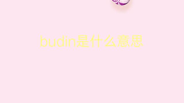 budin是什么意思 budin的翻译、读音、例句、中文解释