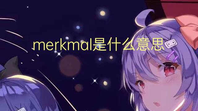 merkmal是什么意思 merkmal的翻译、读音、例句、中文解释