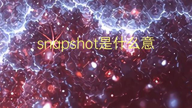 snapshot是什么意思 snapshot的翻译、读音、例句、中文解释