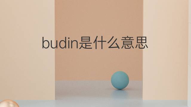 budin是什么意思 budin的翻译、读音、例句、中文解释