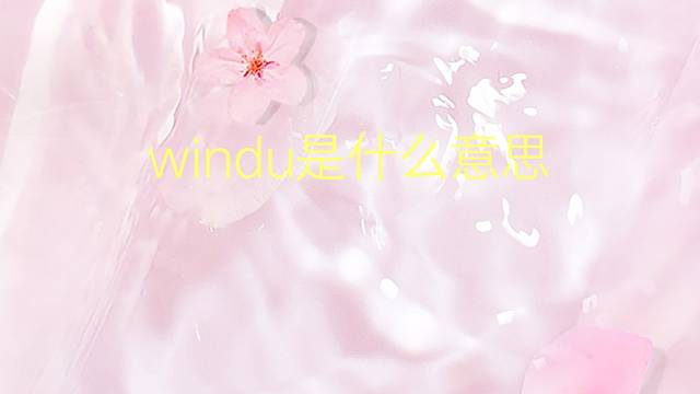 windu是什么意思 英文名windu的翻译、发音、来源