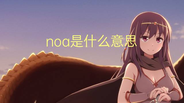 noa是什么意思 noa的翻译、读音、例句、中文解释