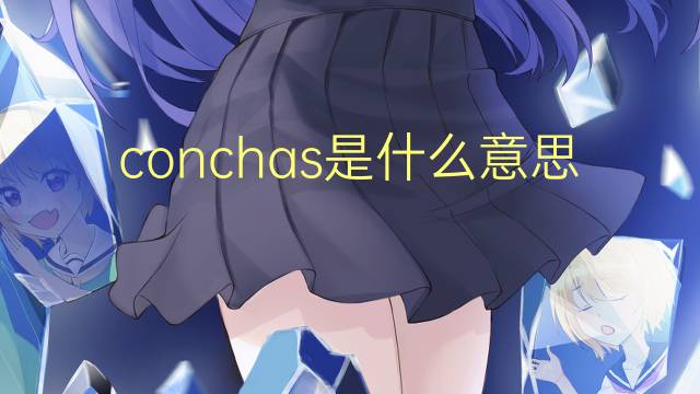 conchas是什么意思 conchas的翻译、读音、例句、中文解释