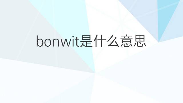 bonwit是什么意思 bonwit的翻译、读音、例句、中文解释