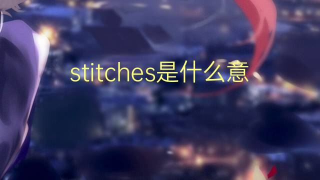 stitches是什么意思 stitches的翻译、读音、例句、中文解释