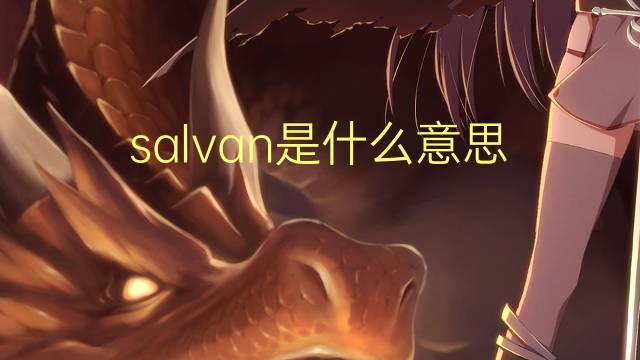 salvan是什么意思 salvan的翻译、读音、例句、中文解释