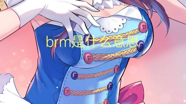 brm是什么意思 brm的翻译、读音、例句、中文解释