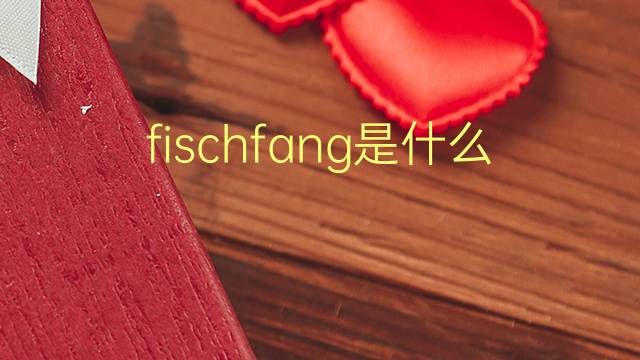 fischfang是什么意思 fischfang的翻译、读音、例句、中文解释