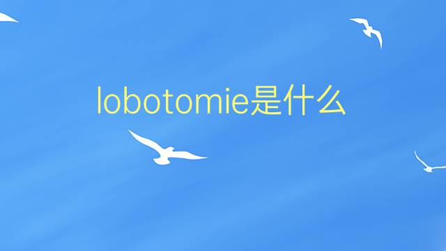 lobotomie是什么意思 lobotomie的翻译、读音、例句、中文解释