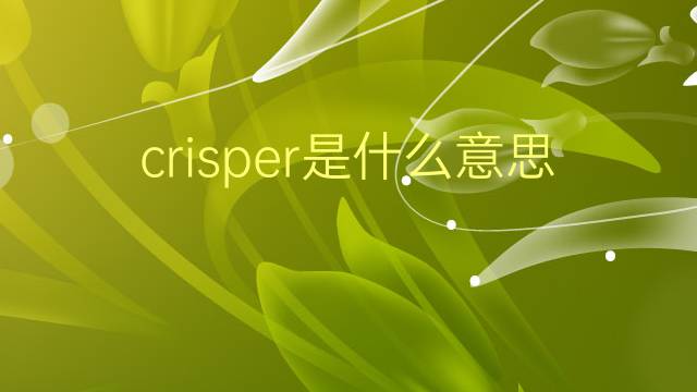 crisper是什么意思 crisper的翻译、读音、例句、中文解释