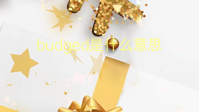 budged是什么意思 budged的翻译、读音、例句、中文解释