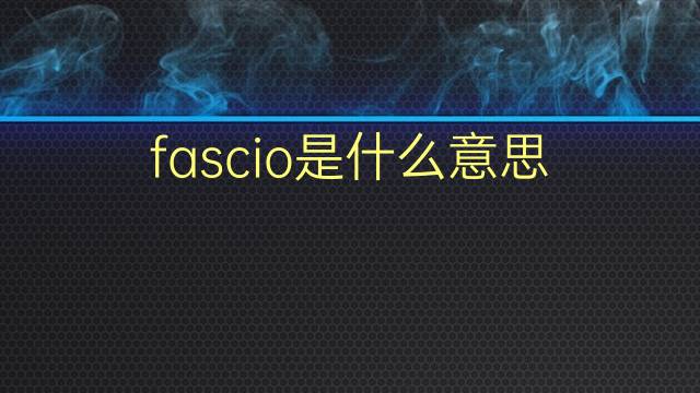 fascio是什么意思 fascio的翻译、读音、例句、中文解释