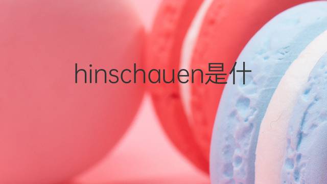 hinschauen是什么意思 hinschauen的翻译、读音、例句、中文解释