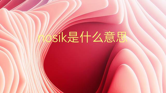 nosik是什么意思 英文名nosik的翻译、发音、来源