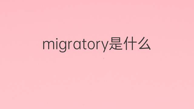 migratory是什么意思 migratory的翻译、读音、例句、中文解释