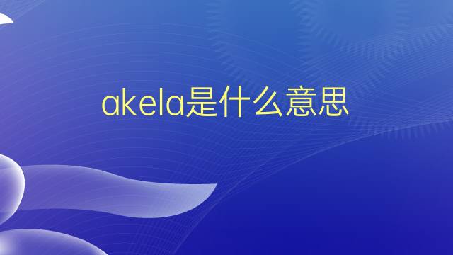 akela是什么意思 akela的翻译、读音、例句、中文解释