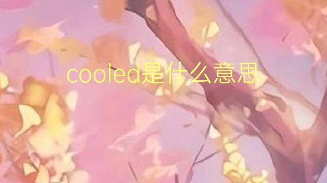 cooled是什么意思 cooled的翻译、读音、例句、中文解释