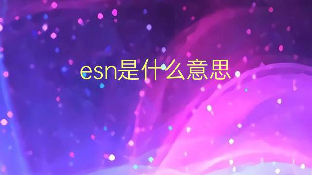 esn是什么意思 esn的翻译、读音、例句、中文解释