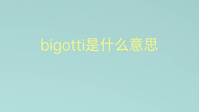 bigotti是什么意思 bigotti的翻译、读音、例句、中文解释