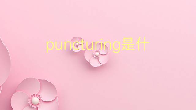 puncturing是什么意思 puncturing的翻译、读音、例句、中文解释