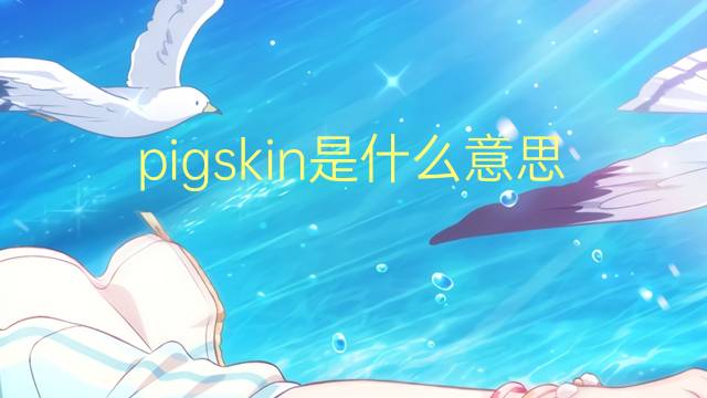 pigskin是什么意思 pigskin的翻译、读音、例句、中文解释