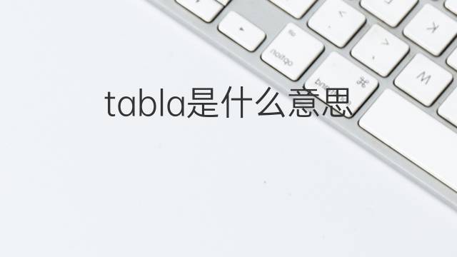 tabla是什么意思 tabla的翻译、读音、例句、中文解释