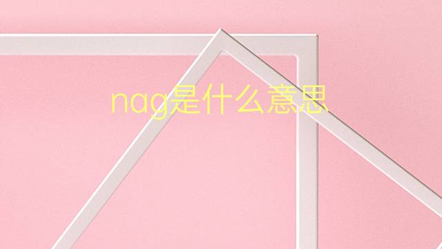 nag是什么意思 nag的翻译、读音、例句、中文解释