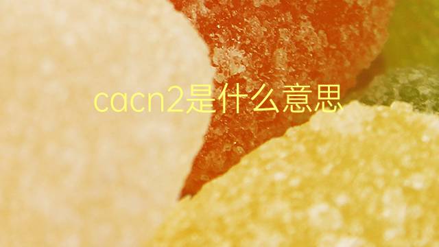 cacn2是什么意思 cacn2的翻译、读音、例句、中文解释