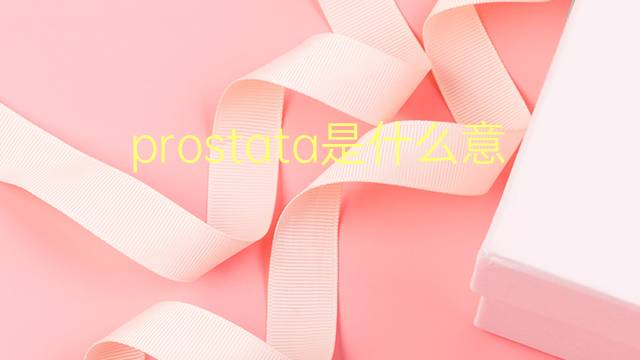 prostata是什么意思 prostata的翻译、读音、例句、中文解释