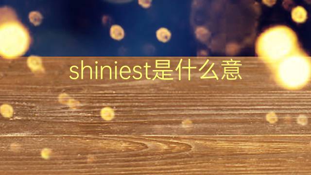 shiniest是什么意思 shiniest的翻译、读音、例句、中文解释