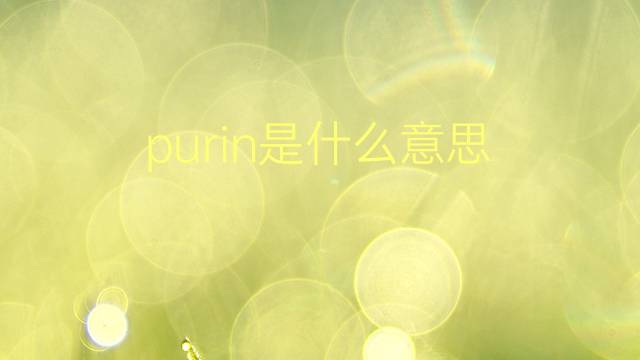 purin是什么意思 purin的翻译、读音、例句、中文解释