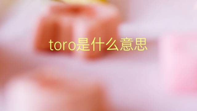 toro是什么意思 toro的翻译、读音、例句、中文解释