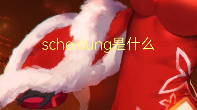 scheidung是什么意思 scheidung的翻译、读音、例句、中文解释