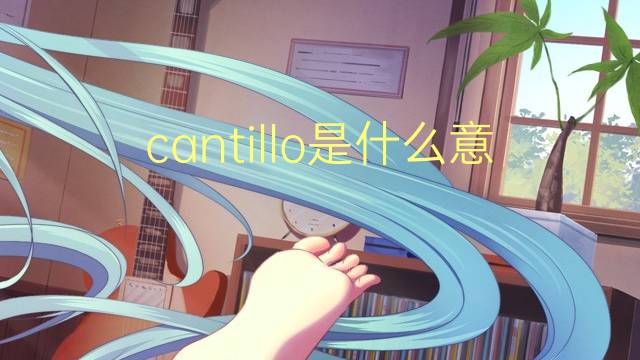 cantillo是什么意思 cantillo的翻译、读音、例句、中文解释