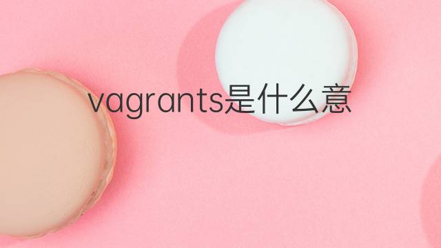 vagrants是什么意思 vagrants的翻译、读音、例句、中文解释