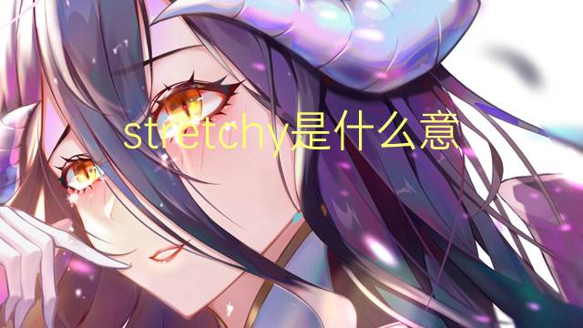 stretchy是什么意思 stretchy的翻译、读音、例句、中文解释