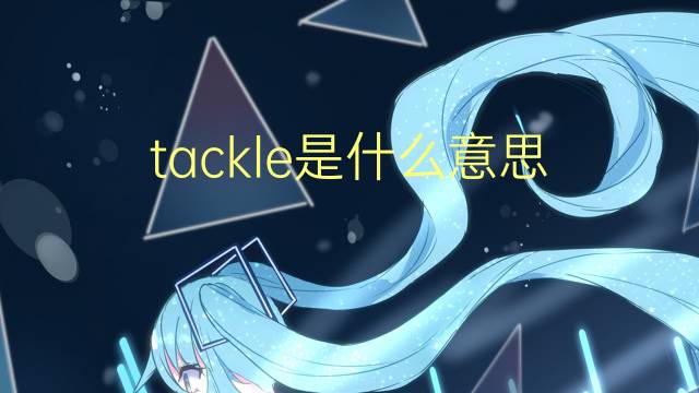 tackle是什么意思 tackle的翻译、读音、例句、中文解释